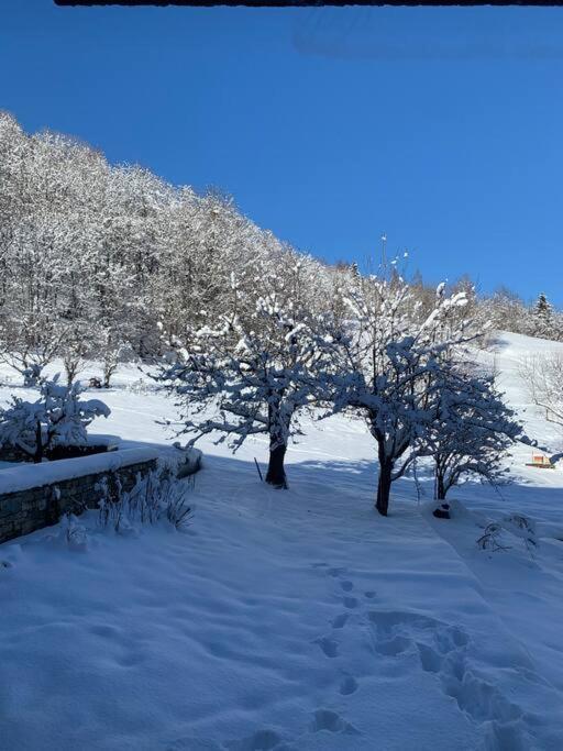 Meribel Chalet De Severine Les Allues المظهر الخارجي الصورة